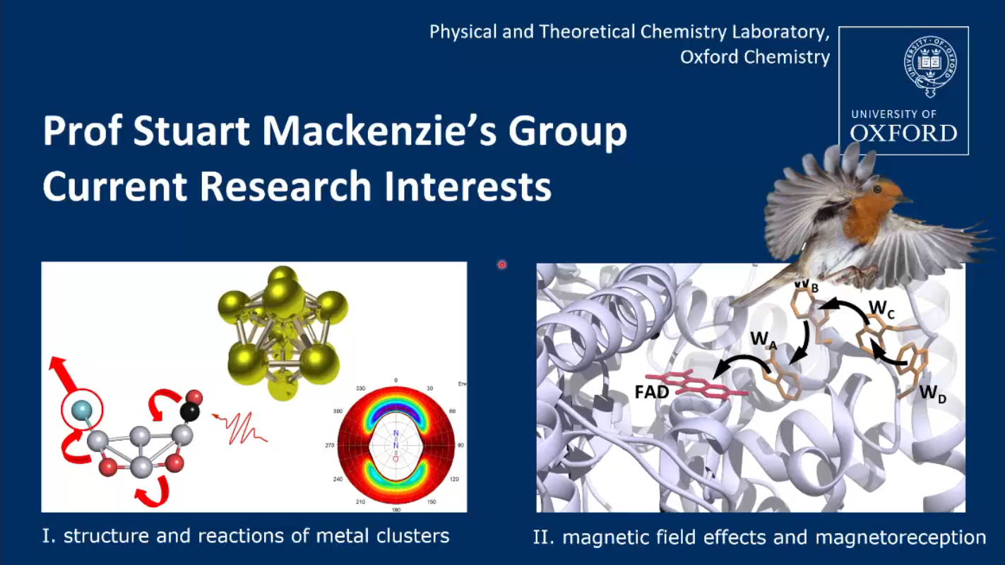Mackenzie group video thumbnail